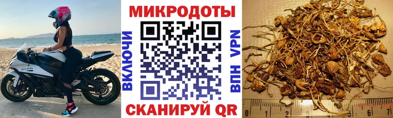 Галлюциногенные грибы Psilocybine cubensis  Купить закладки  Кунгур 